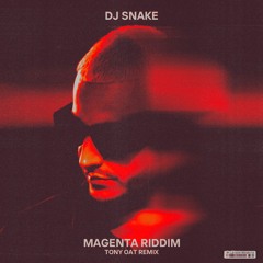 DJ Snake - Magenta Riddim (TONY OAT REMIX)