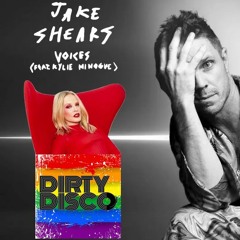 Jake Shears Ft Kylie Minogue - Voices (Dirty Disco Mainroom Remix)