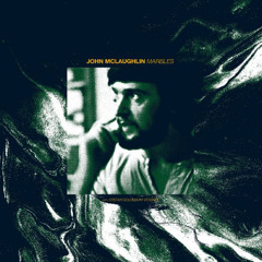 PREMIERE: John McLaughlin - Marbles (Stefan Goldmann version) [Macro]