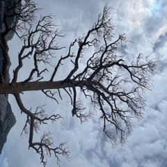 Surfin' On Da Couch(produced by 80horse , mixed by young classic)