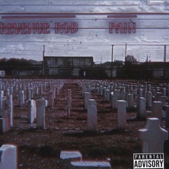 Revenue Rob - Pain (Official Audio)