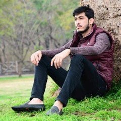 Diwana - Bohemia X Trilucid Mix By Shahzaib
