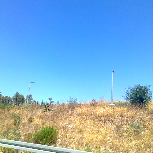 go home