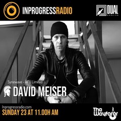 THE WAYFARER PODCAST - GUEST MIX #07 DAVID MEISER (DUAL BOOKING)