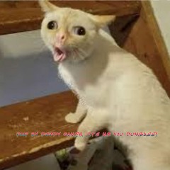 poop by poopy gamer