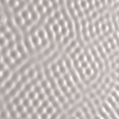 Wall Anfang (For Jeff Wall)