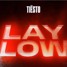 Tiesto - Lay Low  (E.F.X remix)