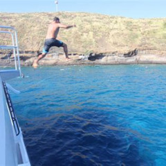 Best Molokini Snorkeling Adventure Aboard Calypso Prices Reviews