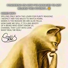 STOiZY - GAINING PURITY