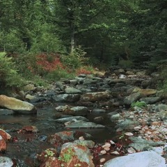 Along The River - Improvised Piano Piece