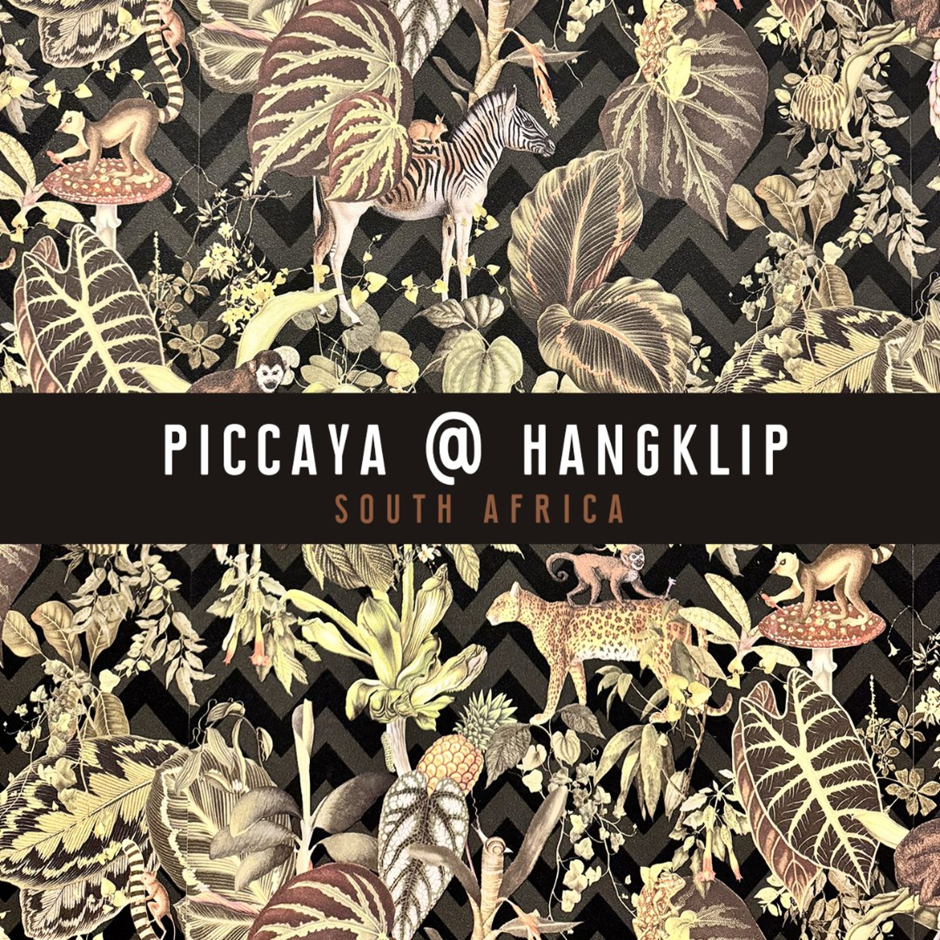 Live @ Hangklip (South Africa) episode artwork