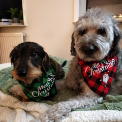 Chr!Sty - Happy Holidays! - Dec 2025