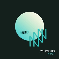 NIP 37 | Whipnotiq