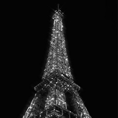 Pricey Bitch (Ayesha Erotica Remix)