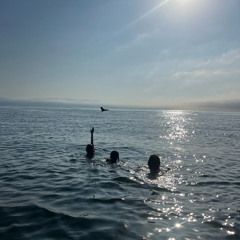 SPRING MIX 2025 [HOUSE/DISCO]