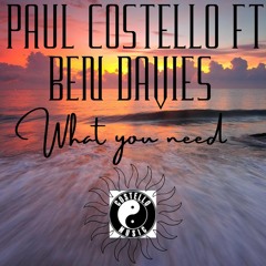 Paul Costello feat. Ben Davies - What You Need [Costello Music] [MI4L.com]