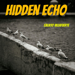 Hidden Echo
