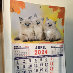 como canciones de abril