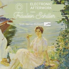 Electronic Afterwork meets Frl. Schiller 2020-04-16 (Live Set)