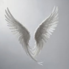 Angels_Wings