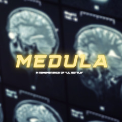 Medula