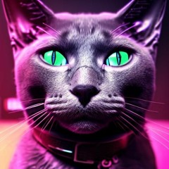 Purrific!