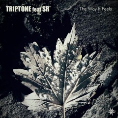 Triptone Feat SR - The Way It Feels (Emil Eliav Remix)