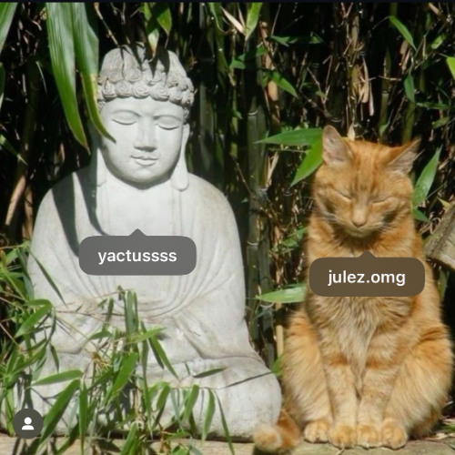 cobain w/julez
