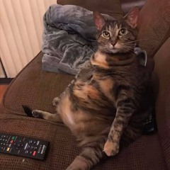 FEOFILOV - друг + драг