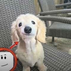 8teencanthangdoboyremix