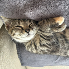 FRIENDSHIPMAN - Get Get Me (Unmixed 0-Coast Session).mp3