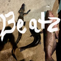 new life 2.wav