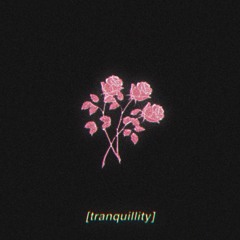tranquillity - lofi hip hop beat / FREE FOR PROFIT USE