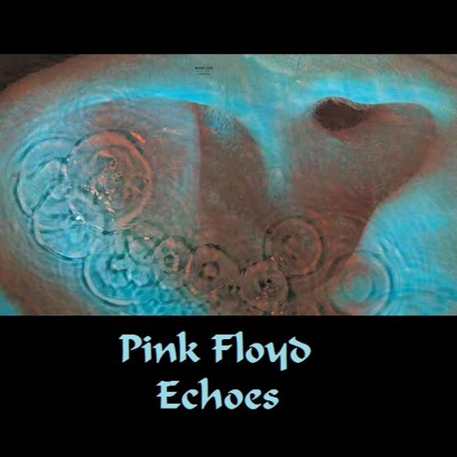 Stream Pink Floyd - Echoes(Re-imagined) by Funkinova | Listen online for  free on SoundCloud
