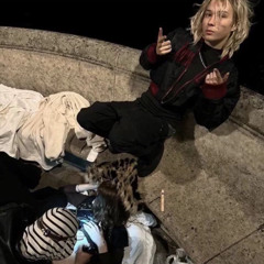 nettspend deftones leaked