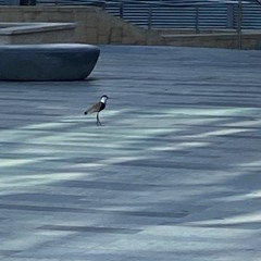Grounded