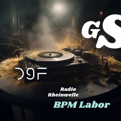 DGF Gastspiel - Radio Rheinwelle BPM-Labor Gastmix 08.03.2025