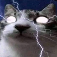 lkjvalsfkjvb