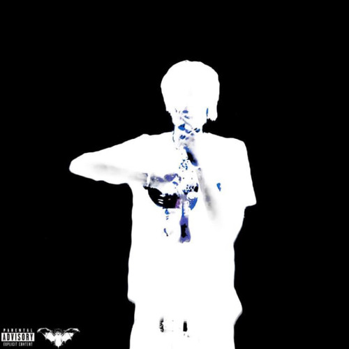 Lilnosebleed - INDUBITABLY