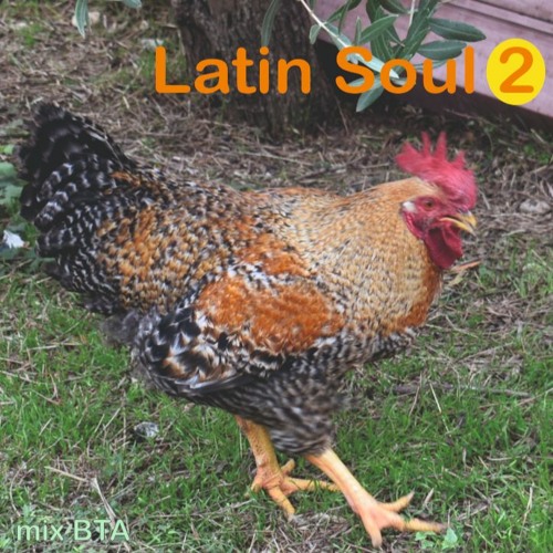 Latin Soul 2  mix BTA