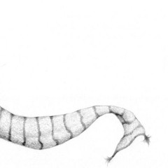 I fell out of love with everything