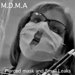 Pierced Mask And  Small Leaks