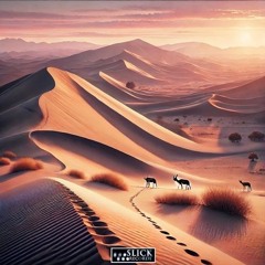 Gabriel Slick - Dunes Of Namibia (snippet)