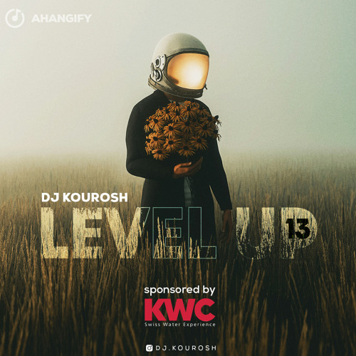 Level Up 13