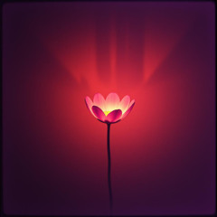 The Gravity of Awakening