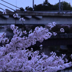 ManXdess-Redlight2 slowed