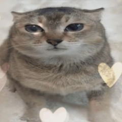 𝕟𝕖𝕨 𝕪𝕖𝕒𝕣𝕤 𝕕𝕒𝕪