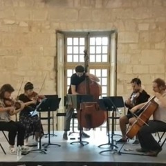 D O L M A (2019) - for string quintet