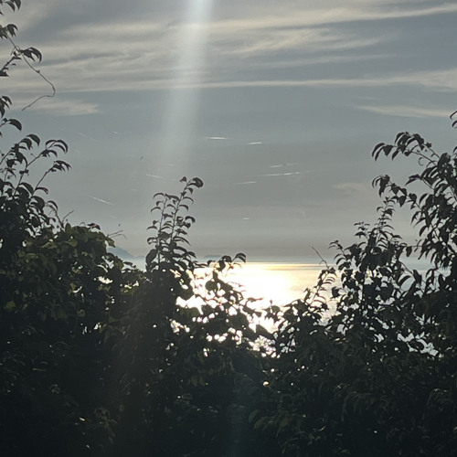 Don't leave me lonely (Acoustic ver.) cover