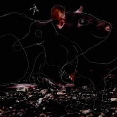 138 Rat Scraps [Dance]